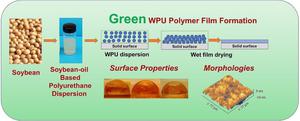 Structure Development in Cross-Linked, Soybean Oil-based Waterborne Polyurethanes