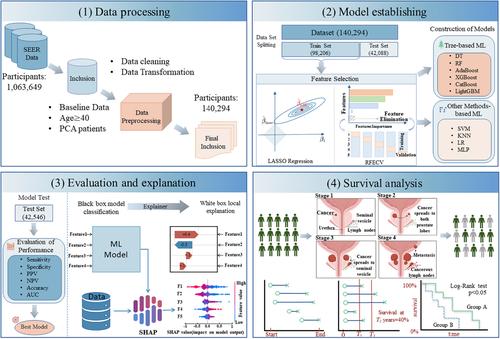 Prostate cancer treatment recommendation study based on machine learning and SHAP interpreter