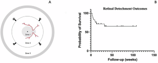 Prognostic factors associated with acute retinal necrosis treated non-surgically