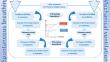 Heart-Lungs interactions: the basics and clinical implications.