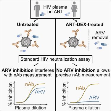 Decoupling HIV-1 antiretroviral drug inhibition from plasma antibody activity to evaluate broadly neutralizing antibody therapeutics and vaccines.