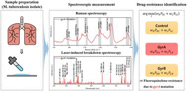 Identification of fluoroquinolone-resistant Mycobacterium tuberculosis through high-level data fusion of Raman and laser-induced breakdown spectroscopy†