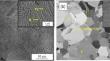 Deconstructing the Retained Austenite Stability: In Situ Observations on the Austenite Stability in One- and Two-Phase Bulk Microstructures During Uniaxial Tensile Tests