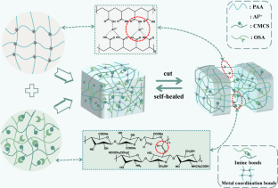 High-strength, conductive, double-network self-healing antibacterial hydrogel based on the coordination bond and dynamic imine bond