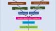 A novel deep contrastive convolutional autoencoder based binning approach for taxonomic independent metagenomics data