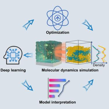 Deep-learning-assisted insights into molecular transport in heterogeneous electrolyte films on electrodes