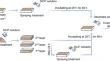 Biocementation for desert sand against wind-induced erosion with different treatment processes