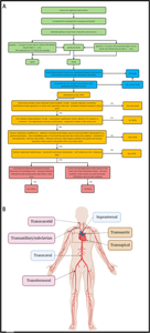 An Updated Comprehensive Review of Existing Transcatheter Aortic Valve Replacement Access.