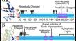 The Role of Food Structure in the Biophysics of Digestion: The Remarkable Coevolution of the Casein Micelle