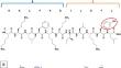 Dual Antimicrobial and Anticancer Activity of Membrane-Active Peptide BP52.