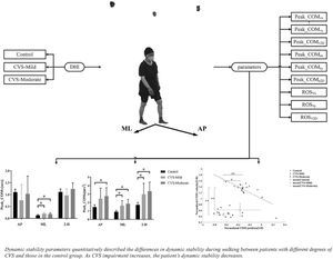 Evaluation of instability in patients with chronic vestibular syndrome using dynamic stability indicators.