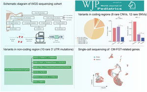 Genetic variation and molecular profiling of congenital malformations of the female genital tract based on whole-genome sequencing