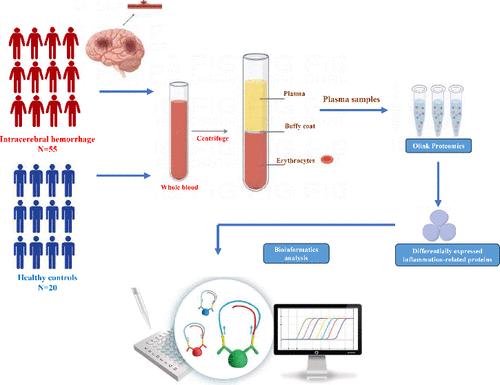 Plasma Inflammation Markers Linked to Complications and Outcomes after Spontaneous Intracerebral Hemorrhage.