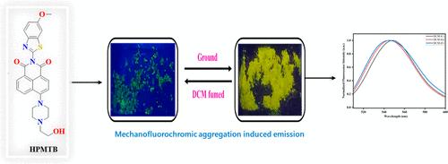 Development of a Dual-State Emissive Naphthalimide-Based Organic Probe: Interesting Synergistic Effects from the Solid State to the Solution Phase