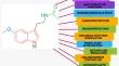 Blunted Melatonin Circadian Rhythm in Parkinson's Disease: Express Bewilderment.