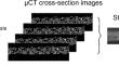 Creating bulky papers with hydroxypropyl methylcellulose