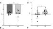 Creatine Supplementation Prior to Strength Exercise Training Is Not Superior in Preventing Muscle Mass Loss Compared with Standard Nutritional Recommendations in Females After Bariatric Surgery: A Pilot Study