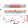 Interplay between magnetism and superconductivity in a hybrid magnon-photon bilayer system