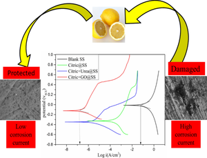 Influence of Graphene Oxide and Urea on Friendly Citric-Treated Stainless Steel for Surface Protection