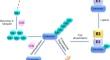The Role of Deubiquitinating Enzymes in Primary Bone Cancer.