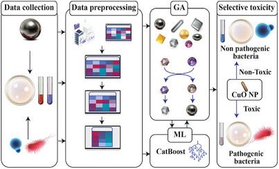 SelTox: Discovering the Capacity of Selectively Antimicrobial Nanoparticles for Targeted Eradication of Pathogenic Bacteria