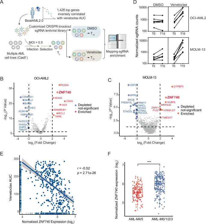 CRISPR screen of venetoclax response-associated genes identifies transcription factor ZNF740 as a key functional regulator.