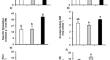 Post-Flowering Phosphorus Deficiency Negatively Impacts Biological Fixation but not Nitrogen Utilization Efficiency of Soybean