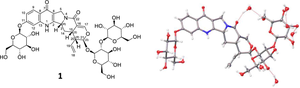 Isolation of new indole alkaloid triglucoside from the aqueous extract of Uncaria rhynchophylla