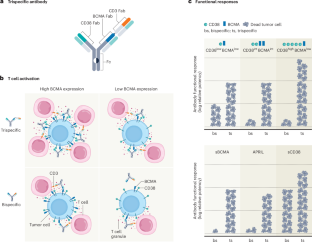 Antibody avidity meets multiple myeloma