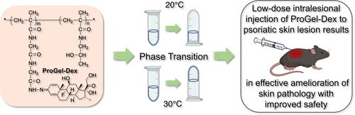 Intradermal Injection of a Thermoresponsive Polymeric Dexamethasone Prodrug (ProGel-Dex) Ameliorate Dermatitis in an Imiquimod (IMQ)-Induced Psoriasis-like Mouse Model.