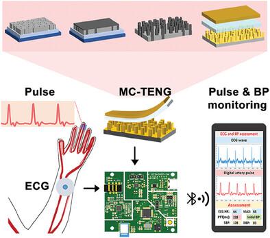 Nanopores‐templated CNT/PDMS Microcolumn Substrate for the Fabrication of Wearable Triboelectric Nanogenerator Sensors to Monitor Human Pulse and Blood Pressure