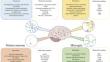 Molecular Genetic Markers of Neuroglia in Traumatic Brain Injury and Their Use for the Functional Assessment of Sportsmen