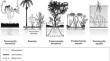 World wetlands classification: a new hierarchic hydro-ecological approach