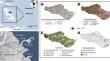 Quantifying pesticide-contaminated sediment sources in tropical coastal environments (Galion Bay, French West Indies)