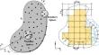 Mechanic-electro coupling overlapping finite element method for piezoelectric structures