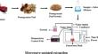 Review of novel techniques for extracting phytochemical compounds from pomegranate (Punica granatum L.) peel using a combination of different methods