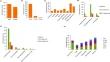 Spectrum detection and analysis of the epidemiological characteristics of infectious pathogens in the feline respiratory tract