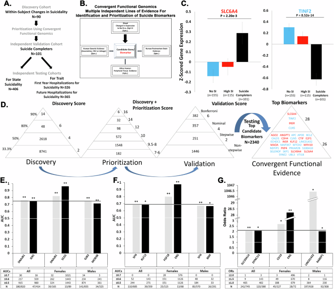 Next-generation precision medicine for suicidality prevention.