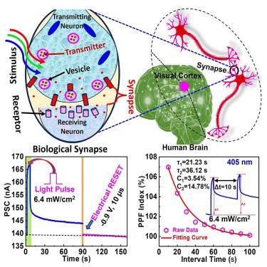 Optoelectronic wide-band-gap oxide-based memristor for mimicking human eye sensory perception and object tracking