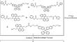 Synthesis and optical properties of co-polycarbonate containing Cardo structure and binaphthalene structure