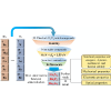 Two-dimensional P3¯m1Ca3N2, Ba3P2, and Ba3As2: Promising stable narrow-gap semiconductors for infrared and broadband photodetectors