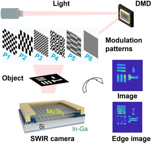 Computing imaging in shortwave infrared bands enabled by MoTe2/Si 2D-3D heterojunction-based photodiode