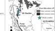 Integrated textural and geochemical analysis of igneous zircon by atom probe tomography