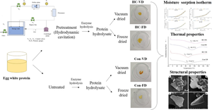 Effect of Hydrodynamic Cavitation and Drying Technique on Moisture Sorption Isotherm and Structural Properties of Egg White Protein Hydrolysate Powder