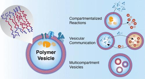 Advancing Artificial Cells with Functional Compartmentalized Polymeric Systems - In Honor of Wolfgang Meier.