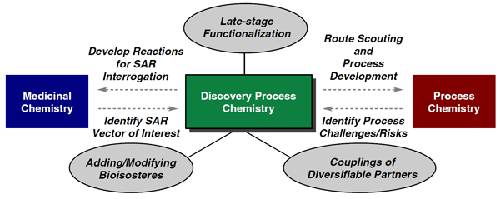 Discovery Process Chemistry: An Innovation Hub at the Interface of Academia, the Pharmaceutical Industry, and Contract Research Organization