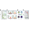 Squeezing-induced quantum-enhanced multiphase estimation