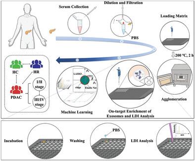 Accelerated Exosomal Metabolic Profiling Enabled by Robust On‐Target Array Sintering with Metal–Organic Frameworks