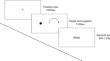 Individual differences in baseline eye movement indices: Examining the relationships between baseline pupil size, inhibitory control, and fixation stability.