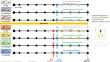 Mathurameha ameliorates cardiovascular complications in high-fat diet/low-dose streptozotocin-induced type 2 diabetic rats: insights from histological and proteomic analysis.